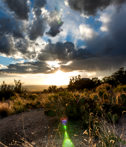 SandiaSunset photo