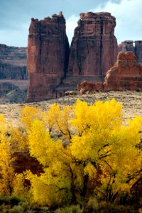 Courthouse Towers, Fall Foliage