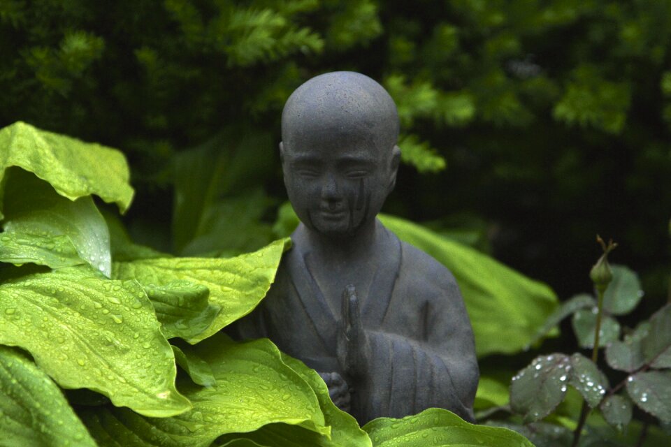 Outdoor garden park