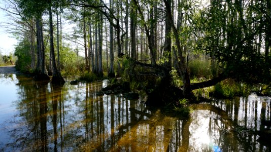Concho Billie ORV trail