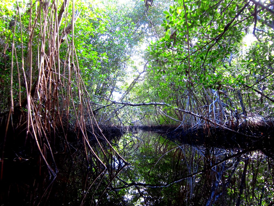 Halfway Creek Loop