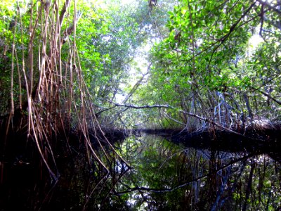 Halfway Creek Loop