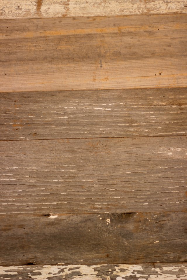 Wood Texture