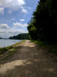 Treidlerweg, Hördter Rheinaue