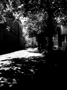 WP 20160502 020 - Kopie (2)