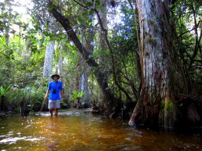 headwaters of turner river