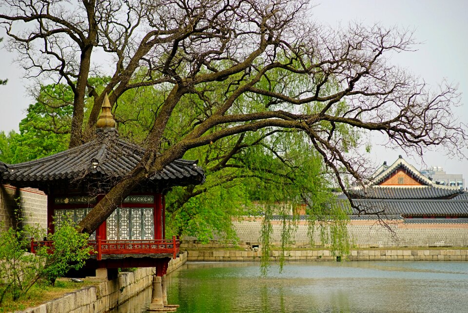 Lake traditional asian