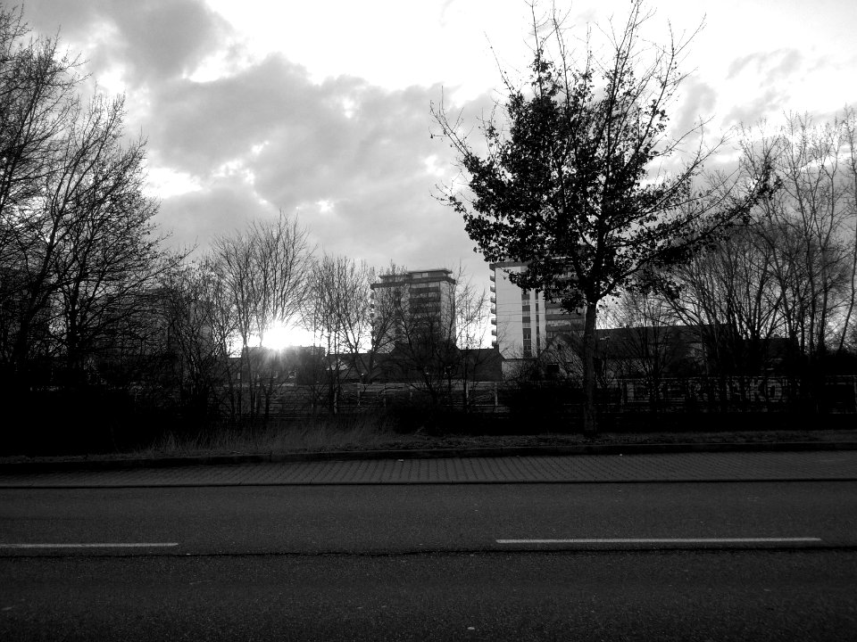 Sonne
