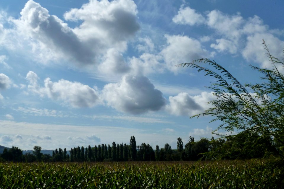 Wolken und Wiese
