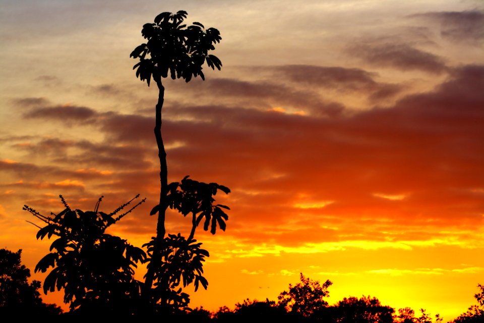 Sunset behind BICY HQ
