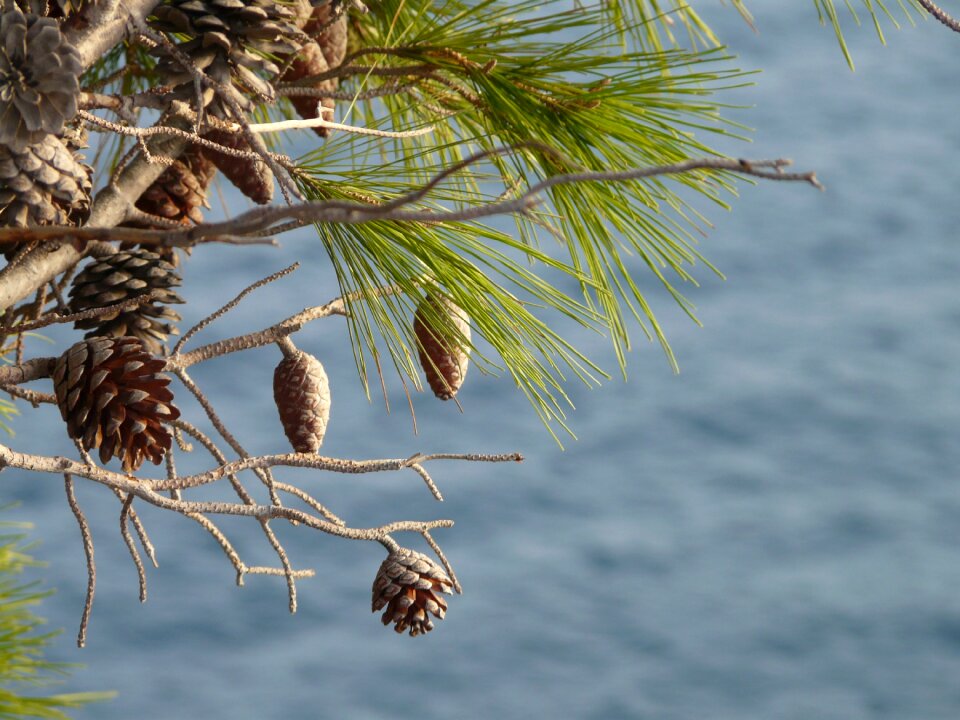 Nature holiday ocean