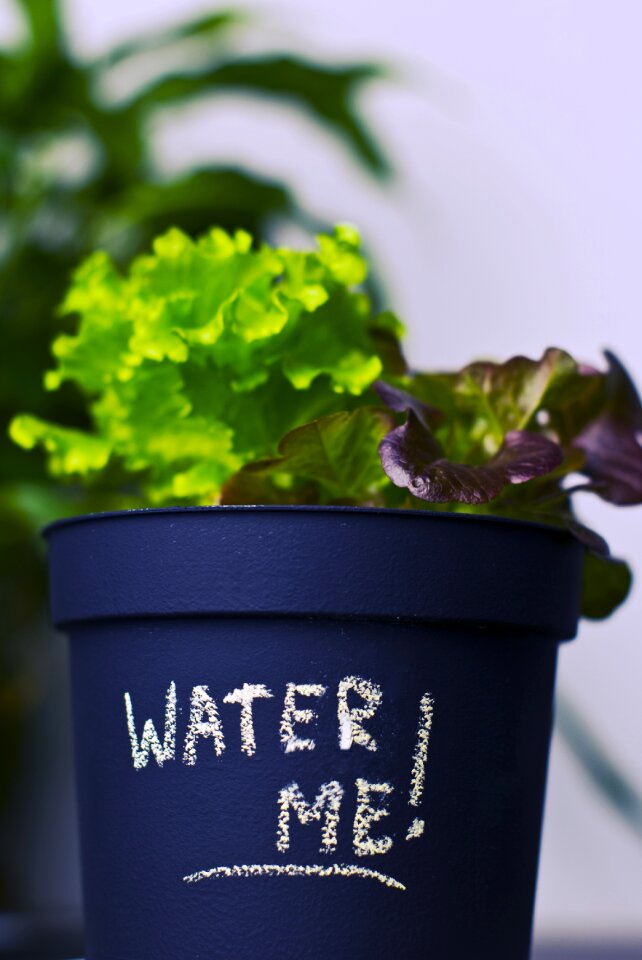 Flower pot message note