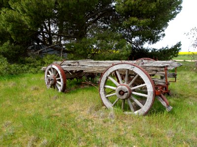 Belalie North. Old bullock cart from the 1870s.