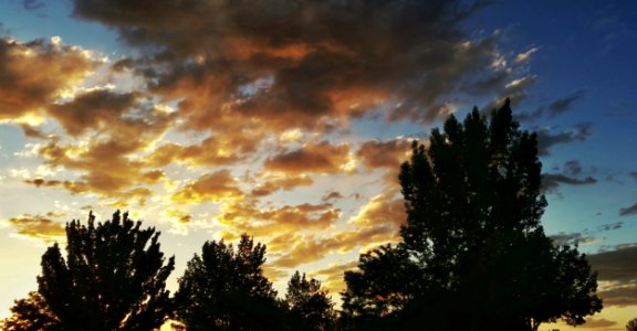Albuquerque sunset