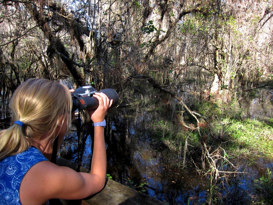 Birding on Kirby Storter Boardwalk