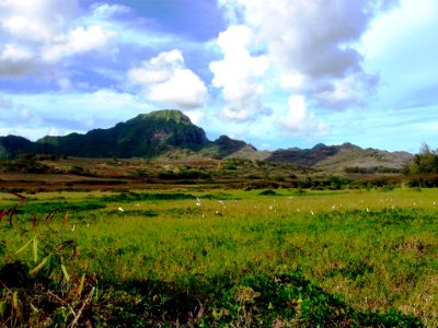 Jurassic Landscape Green, Kauai photo