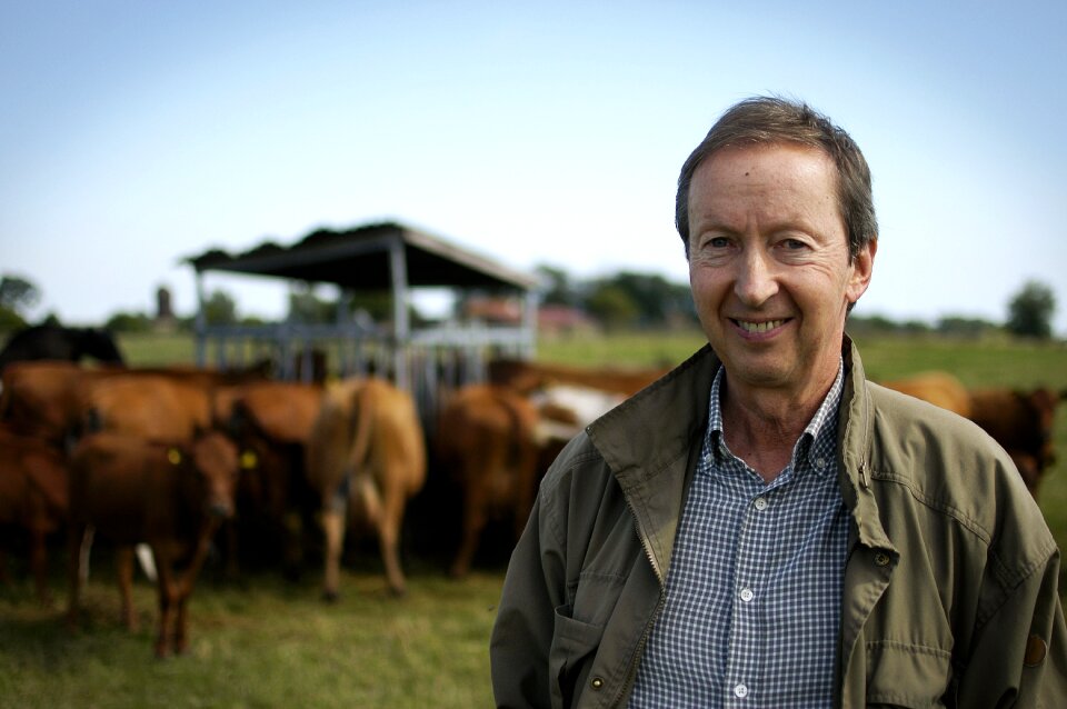 Farmer cow organic
