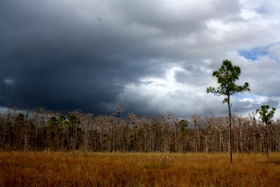 storm over a prairie