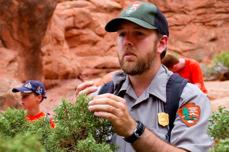Stephen Allen - Fiery Furnace