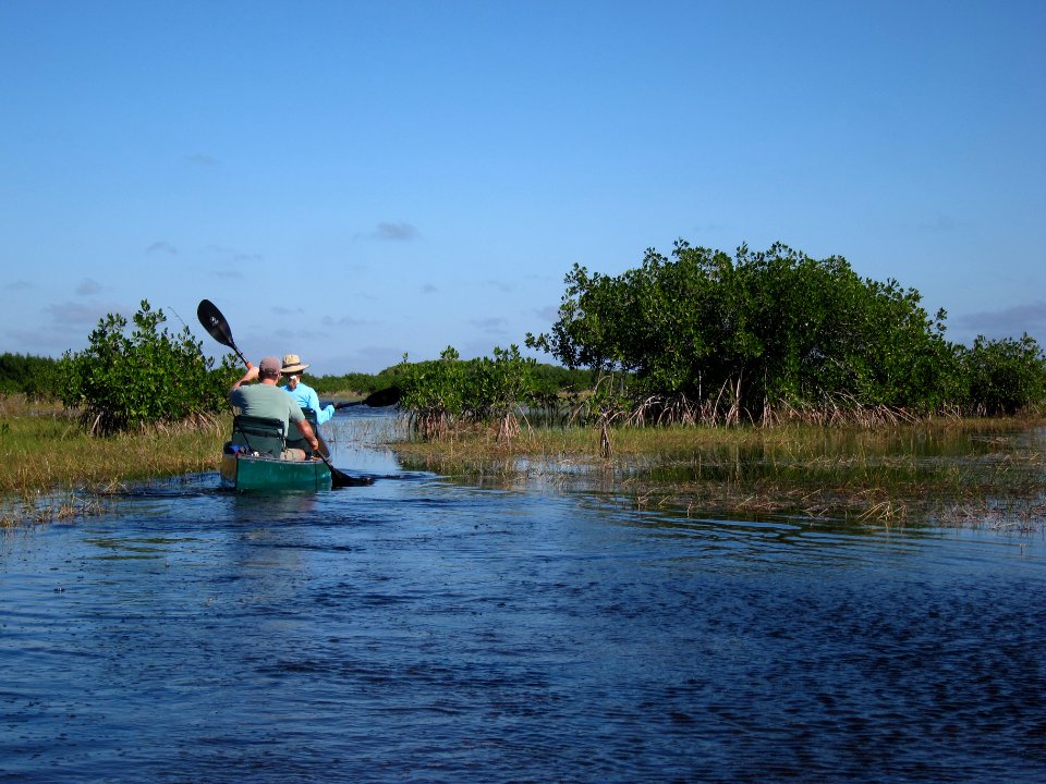 marsh paddling near halfway creek