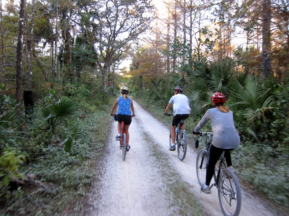 Bear Island Biking