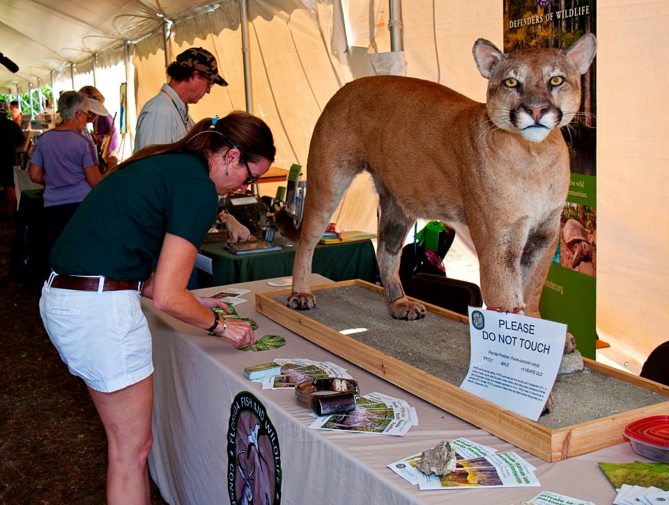 Panther expert Jennifer at the Florida Fish and Wildlife Conservation Commission display