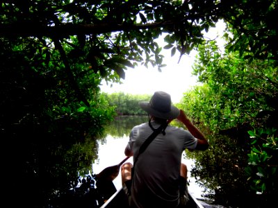 East River Paddling Trail