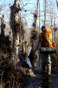 Hiking FL Trail Mullet Slough