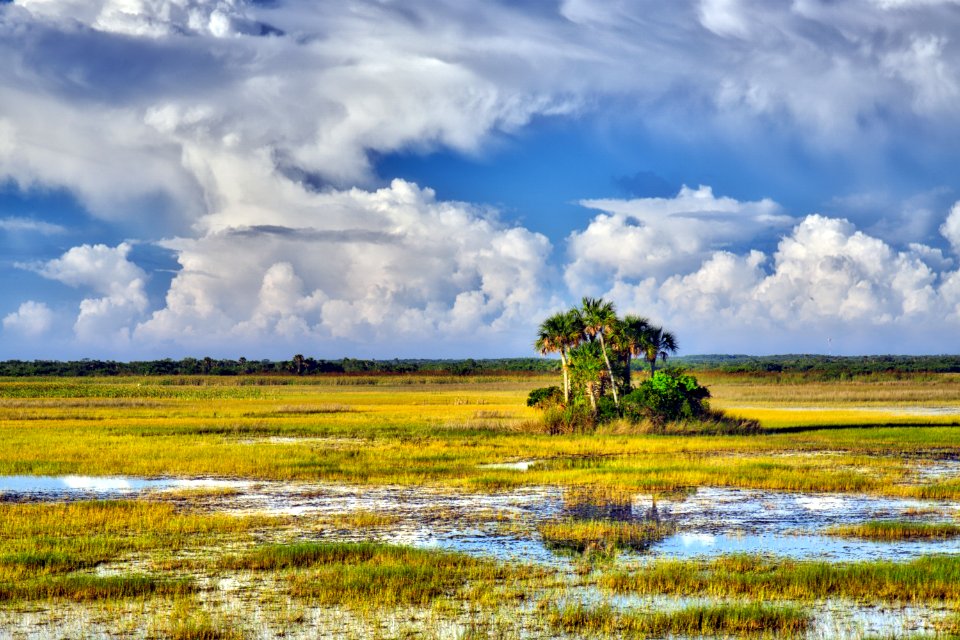 South of 41 on Western Edge of Preserve
