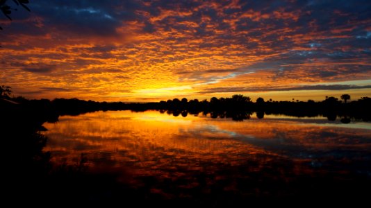 sunrise over Ochopee Pond