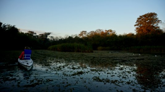 paddling the Turner River