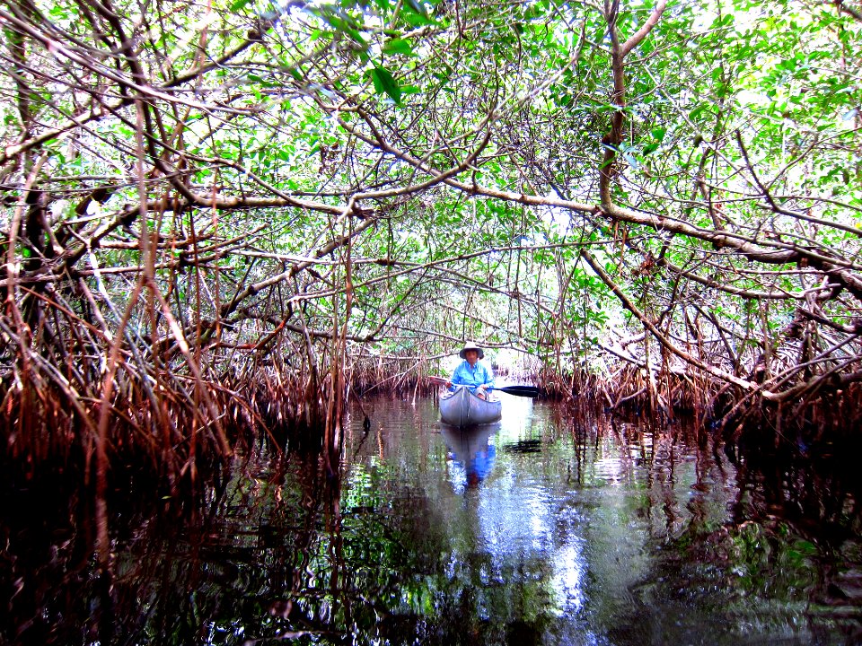 East River Paddling Trail