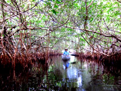 East River Paddling Trail
