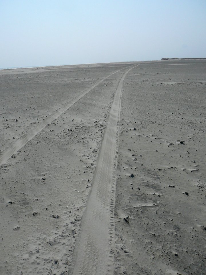 P1020588