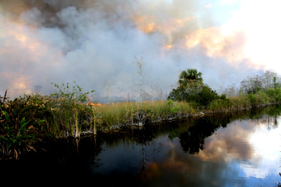 prescribed burn across from HQ