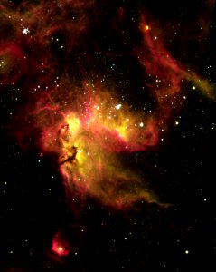 NGC 2081