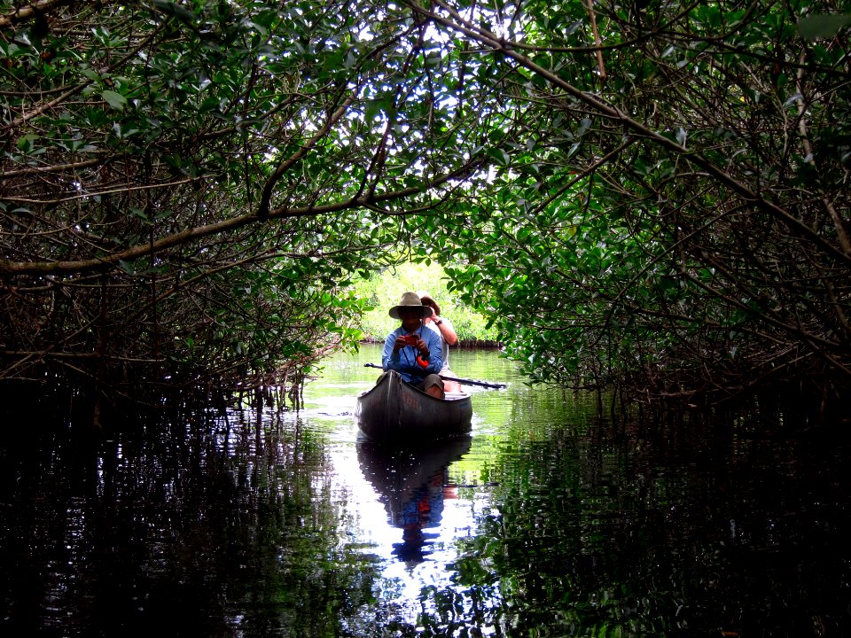 East River Paddling Trail