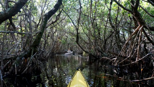 Halfway Creek Loop