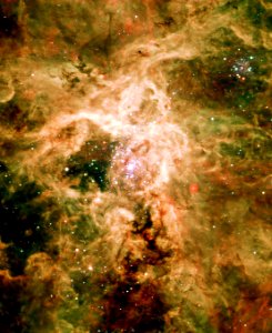 Supernova Remnant NGC 2060 photo