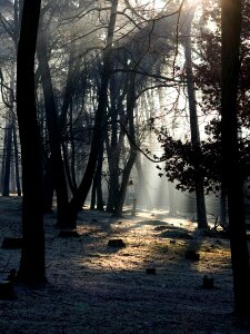 Mood light beam morgenstimmung photo