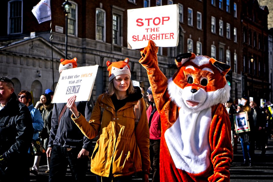 Stop the Slaughter