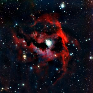 Close-up view of the head of the Seagull Nebula