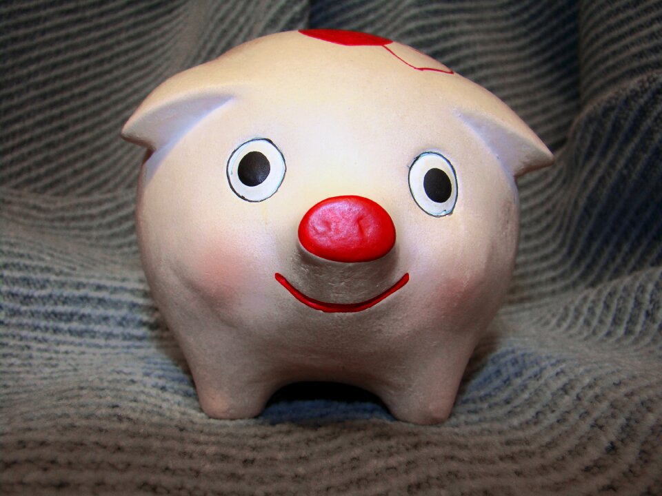 Snout cordial happy