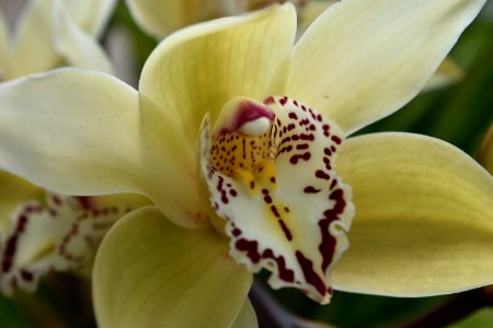Home Wildlife 06