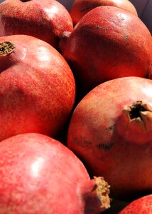 Fruit red tropical