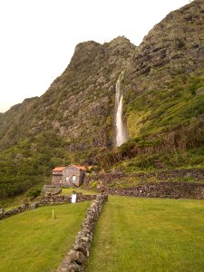 Mohino da Cascata - Faja Grande - Ilha das Flores - Azores photo