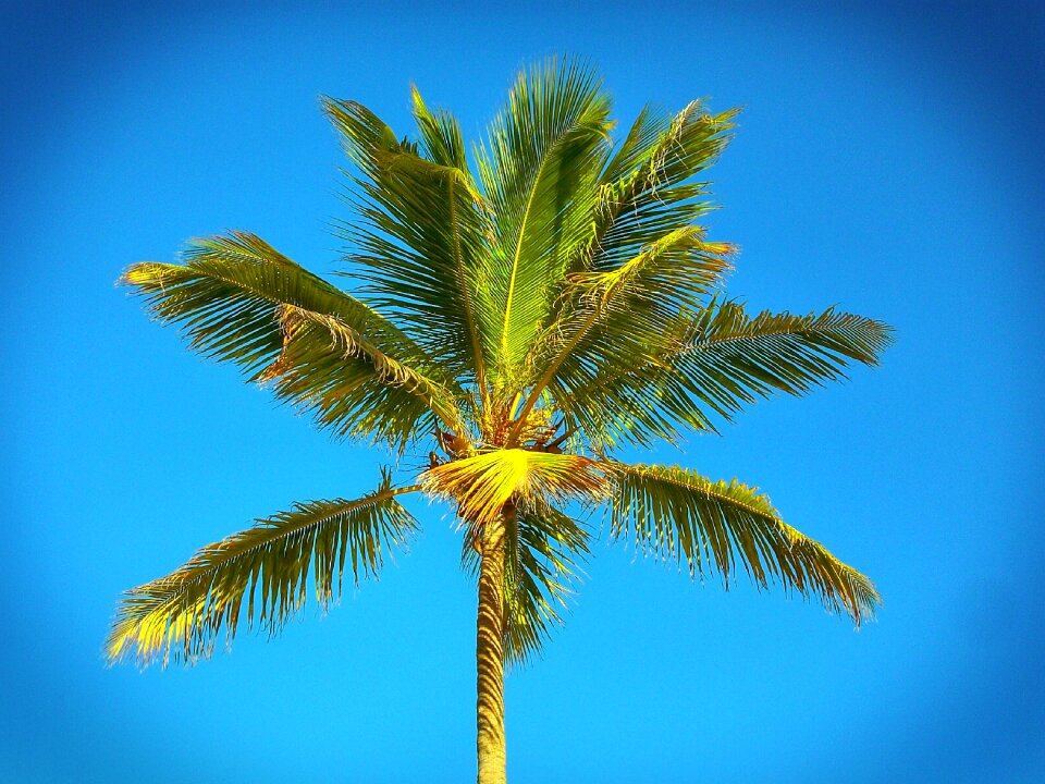 Sea summer sky