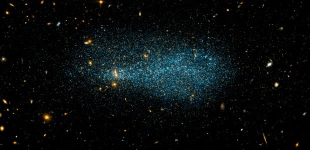 A flock of stars
