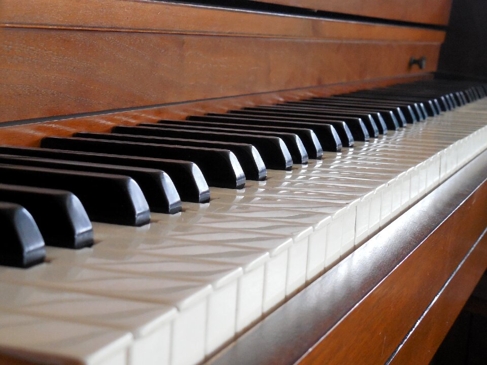 Instrument keyboard white