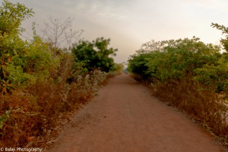 River Bed - Run , Jog Track